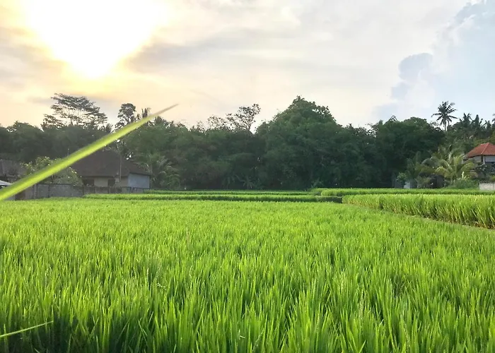 In Paradise The Honeymoon Private In Ubud-bali ウブド